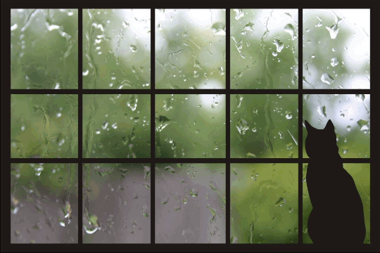 [Image: window-rain-falling-down-panes-while-dar...atches.gif]